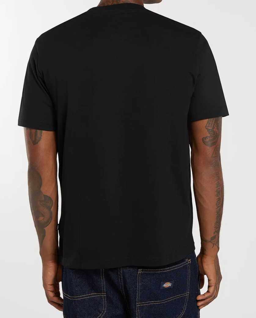 Dickies Mapleton T-shirt