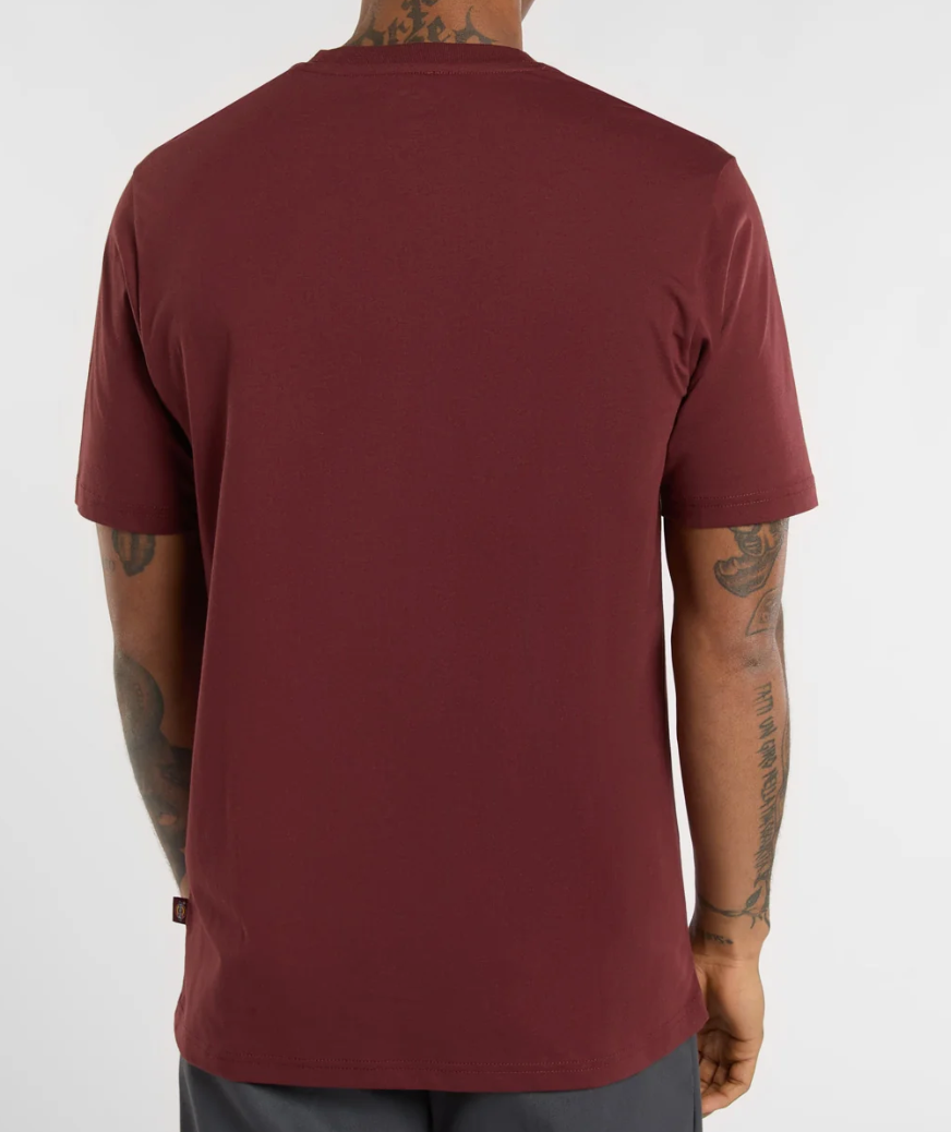 Dickies Mapleton T-shirt
