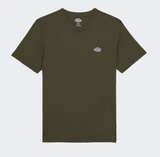 T-shirt Summerdale Dickies