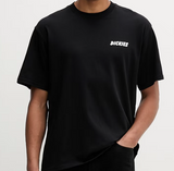 T-Shirt Dickies Dry Ridge