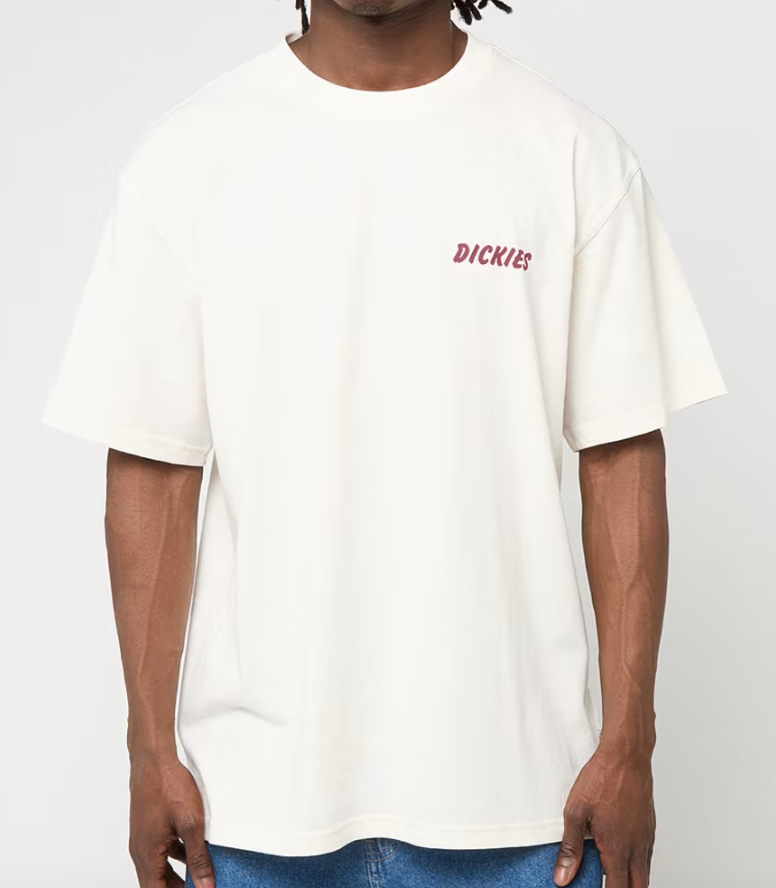 T-Shirt Dickies Dry Ridge