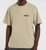 T-shirt pesante Darrtown