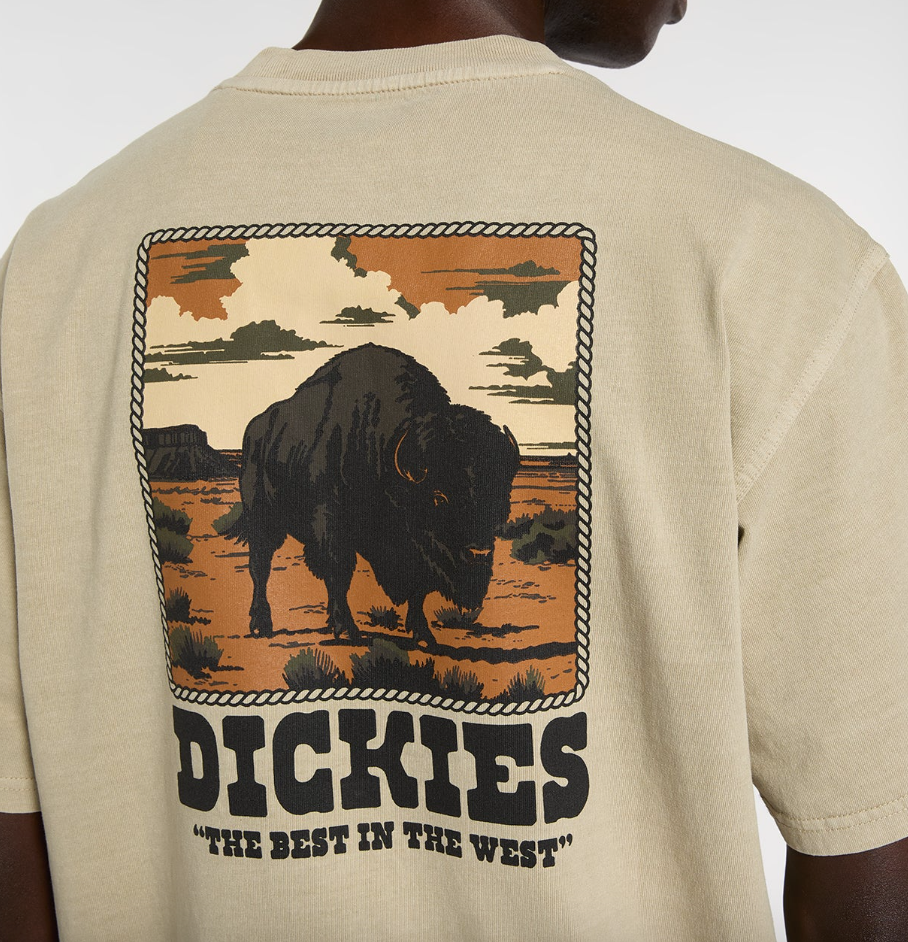 T-shirt pesante Darrtown