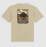 T-shirt pesante Darrtown