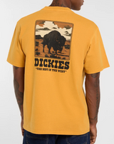 T-shirt pesante Darrtown