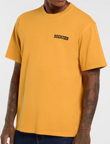 T-shirt pesante Darrtown