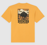 T-shirt pesante Darrtown