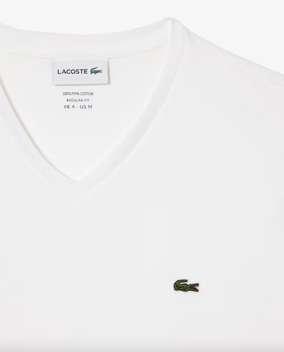 T-SHIRT CON SCOLLO A V IN JERSEY DI COTONE PIMA LEGGERO